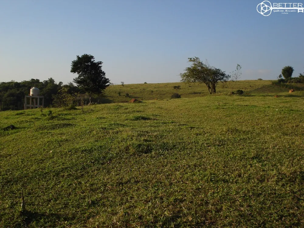 Terreno, 2 hectares - Foto 10