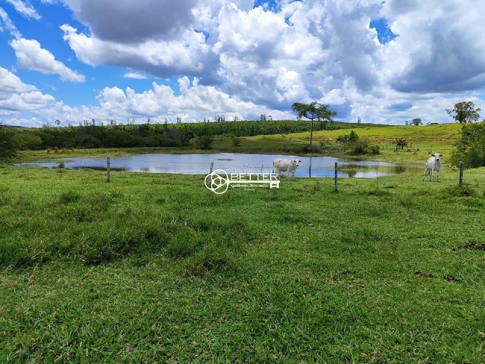 Fazenda, 294 m² - Foto 5