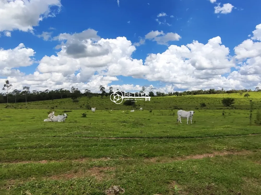 Fazenda, 294 m² - Foto 8