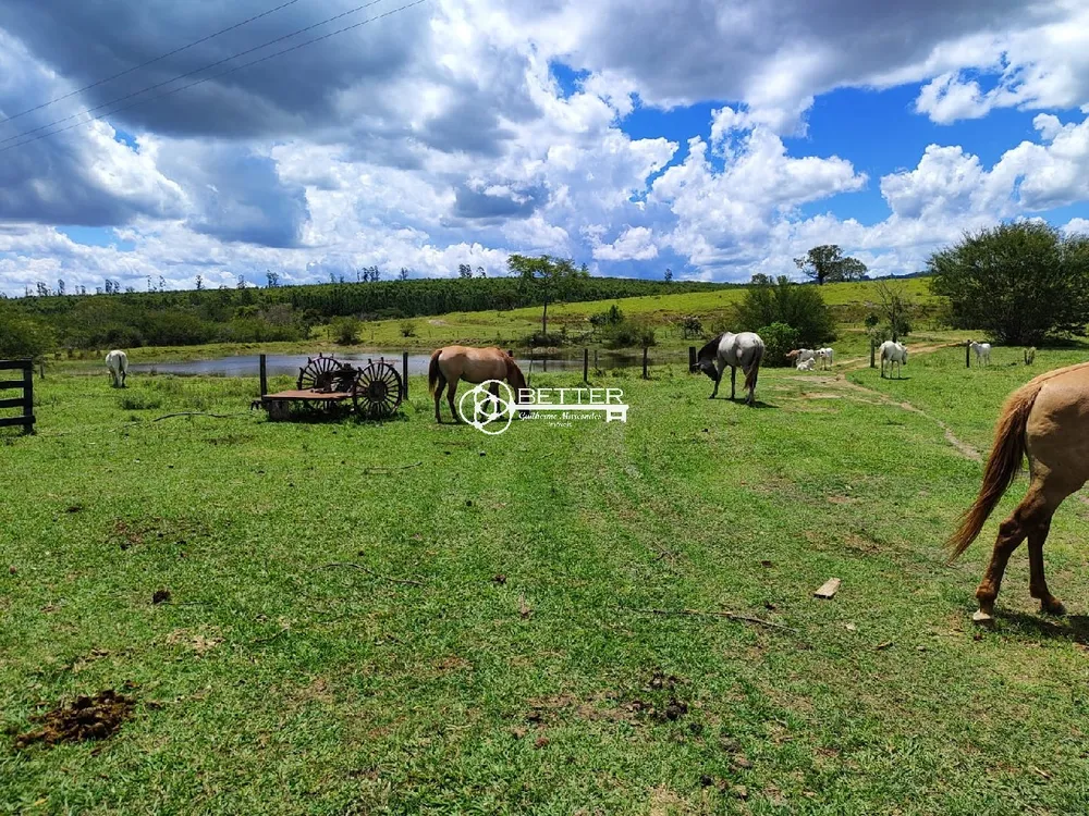Fazenda, 294 m² - Foto 9