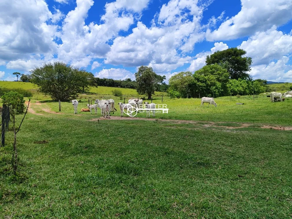 Fazenda, 294 m² - Foto 6
