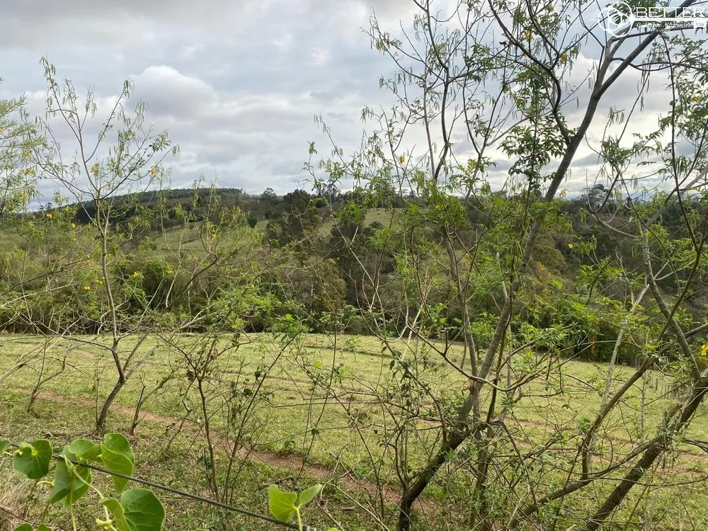 Terreno, 2 hectares - Foto 6