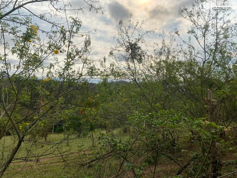 Terreno, 2 hectares - Foto 14