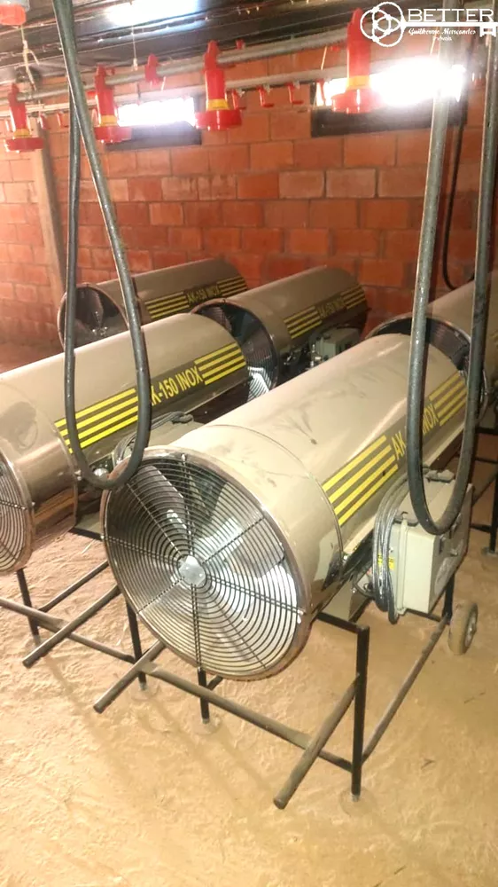 Fazenda-Sítio-Chácara, 7 hectares - Foto 2