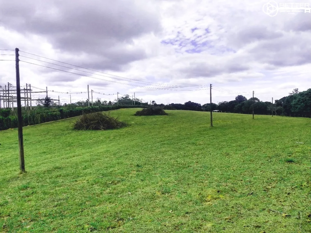 Terreno, 16 hectares - Foto 3