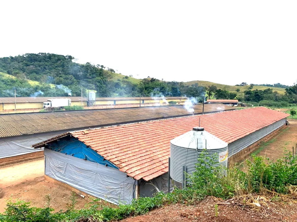 Fazenda, 10 hectares - Foto 2