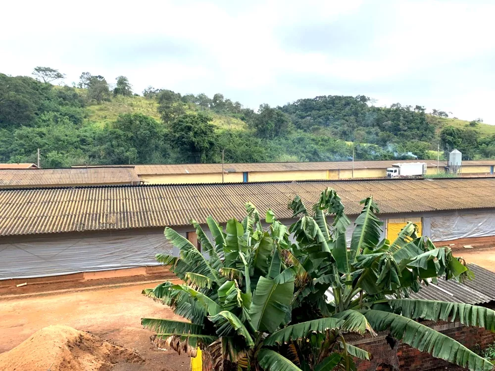 Fazenda, 10 hectares - Foto 1