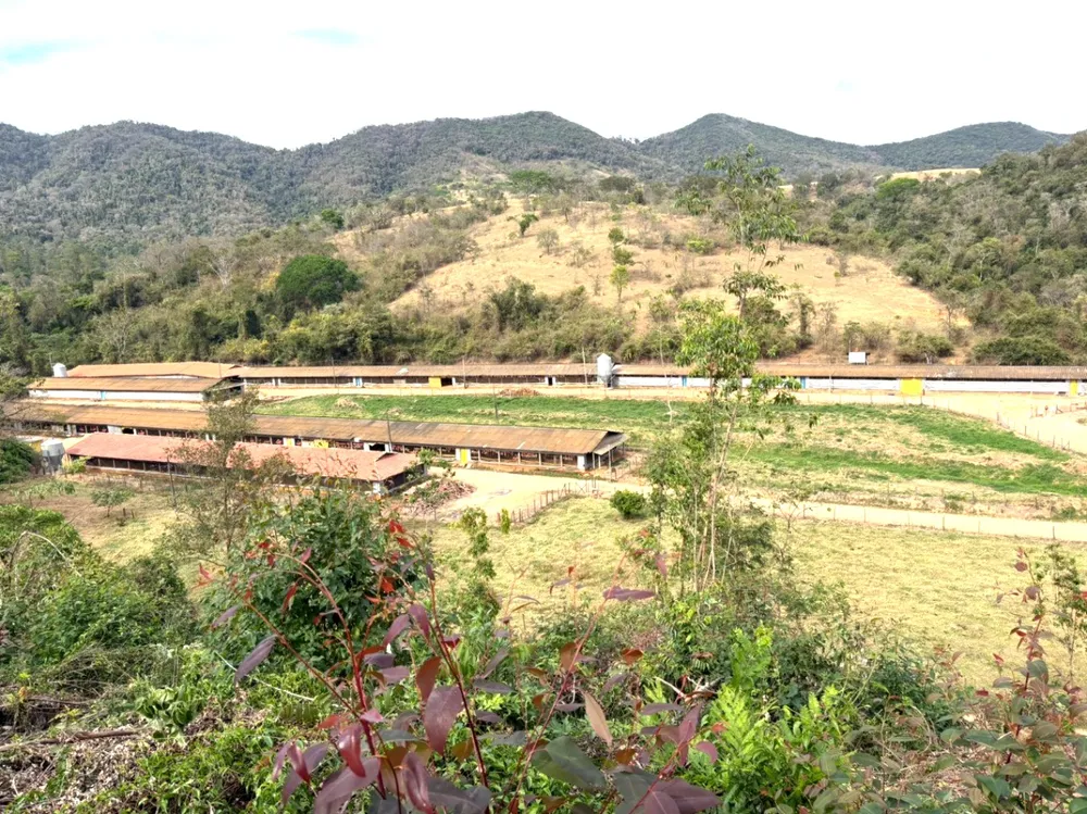 Fazenda, 10 hectares - Foto 8