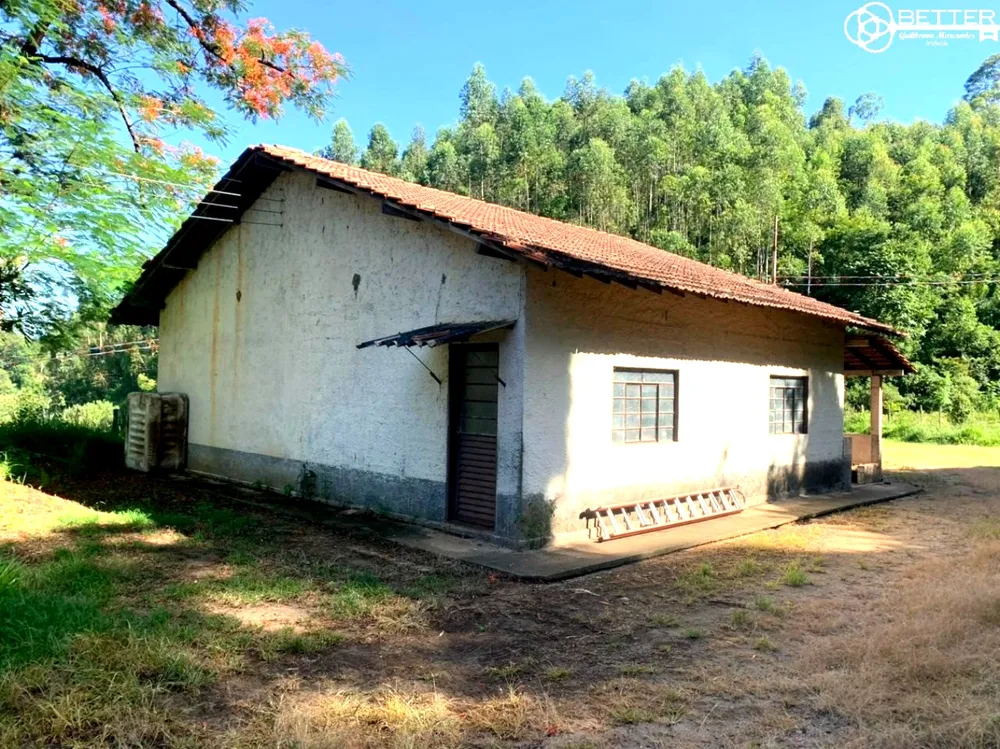 Fazenda, 10 hectares - Foto 11