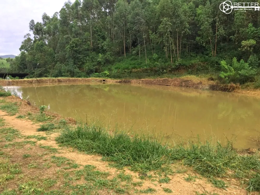Fazenda, 10 hectares - Foto 6