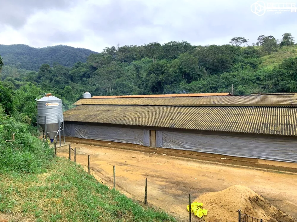 Fazenda, 10 hectares - Foto 4