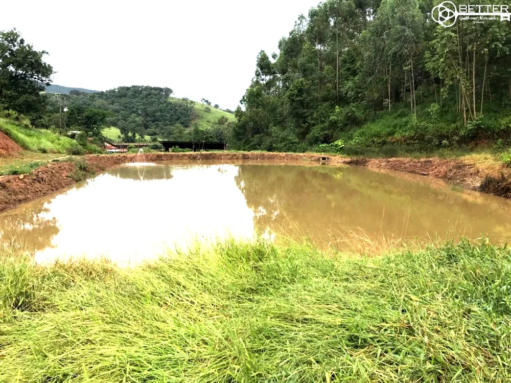Fazenda, 10 hectares - Foto 12