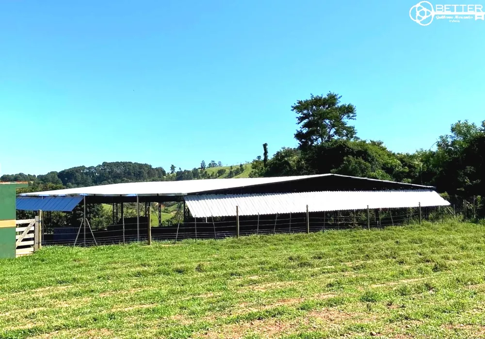 Chácara, 3 quartos, 3 hectares - Foto 4