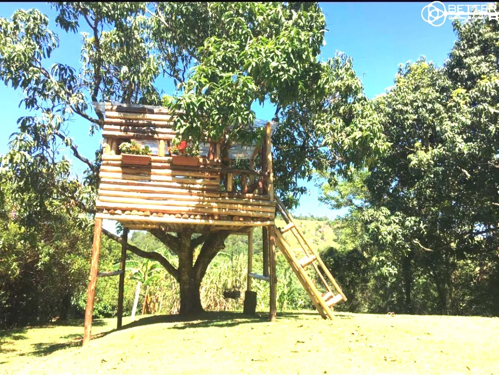 Chácara, 3 quartos, 3 hectares - Foto 13