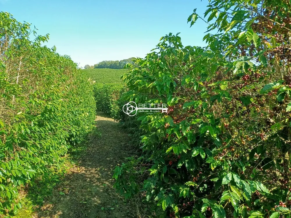 Fazenda, 239 m² - Foto 10