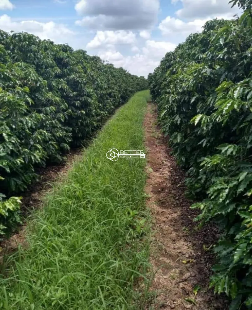 Fazenda, 239 m² - Foto 13