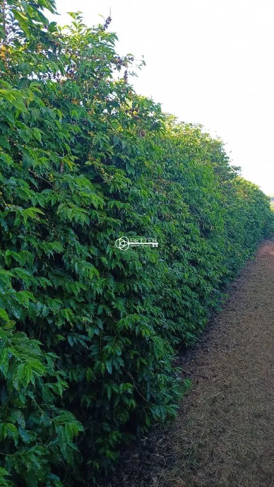 Fazenda, 239 m² - Foto 12