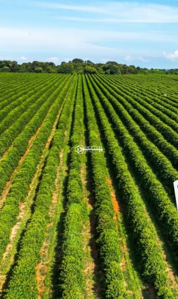 Fazenda, 239 m² - Foto 14