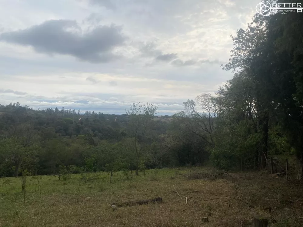 Terreno, 2 hectares - Foto 4