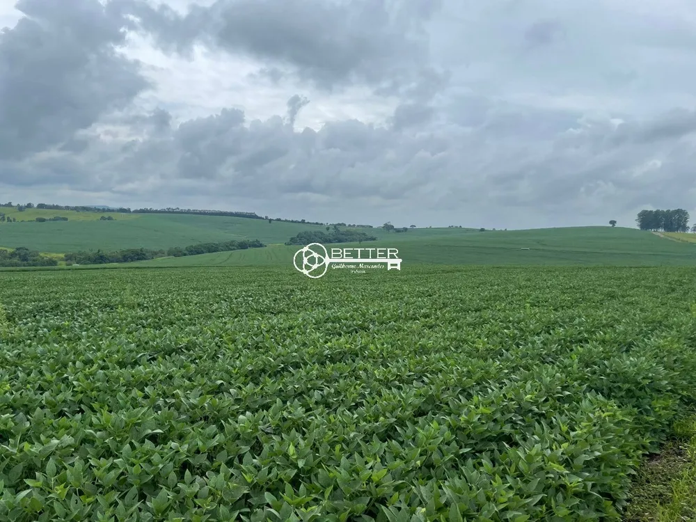 Fazenda, 287 m² - Foto 5