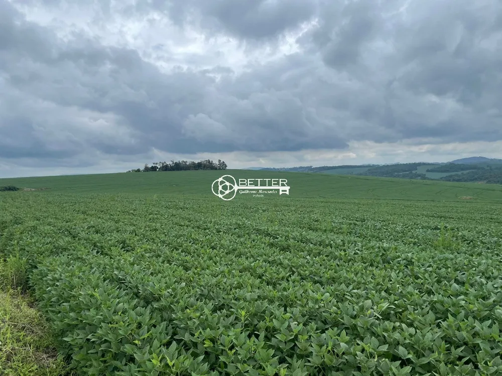 Fazenda, 287 m² - Foto 6