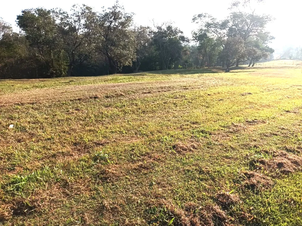Terreno, 3200 m² - Foto 1