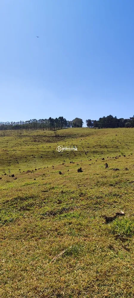 Fazenda, 119 m² - Foto 5