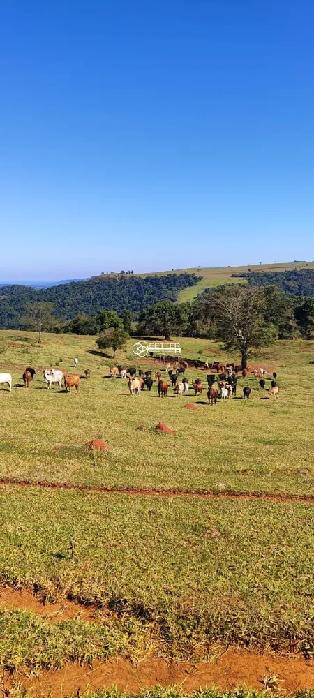 Fazenda, 119 m² - Foto 6