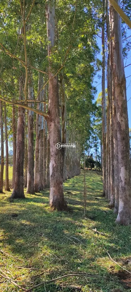 Fazenda, 119 m² - Foto 7