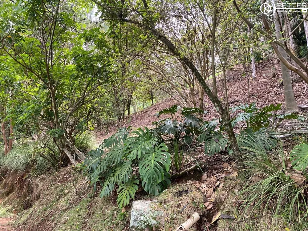 Sítio, 2 quartos - Foto 4