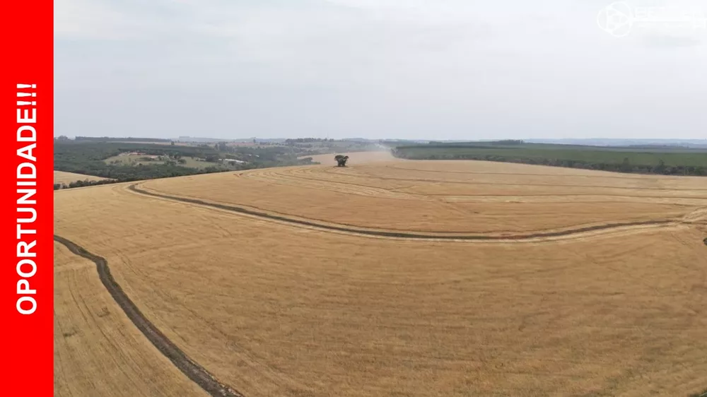 Fazenda, 290 m² - Foto 3