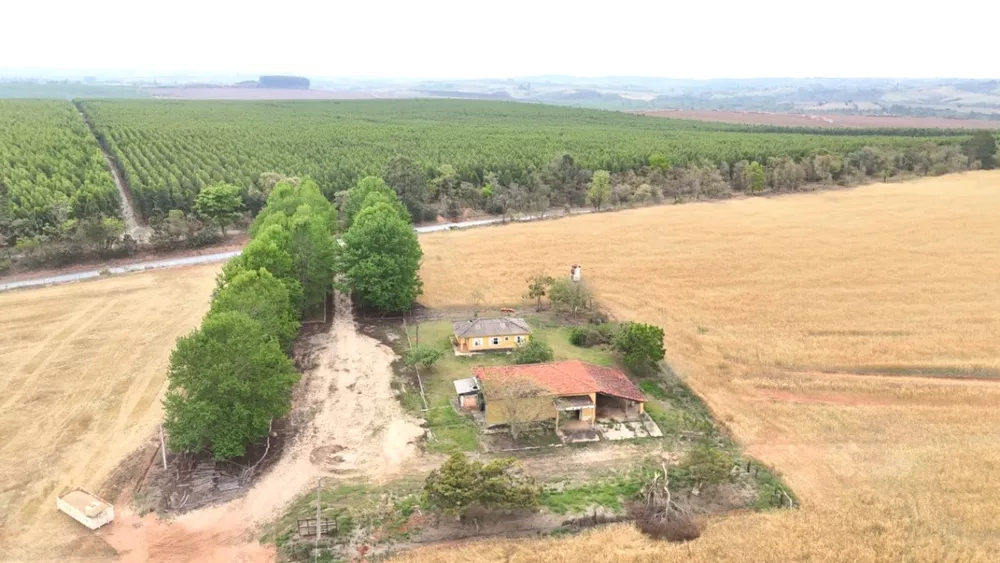 Fazenda, 290 m² - Foto 2