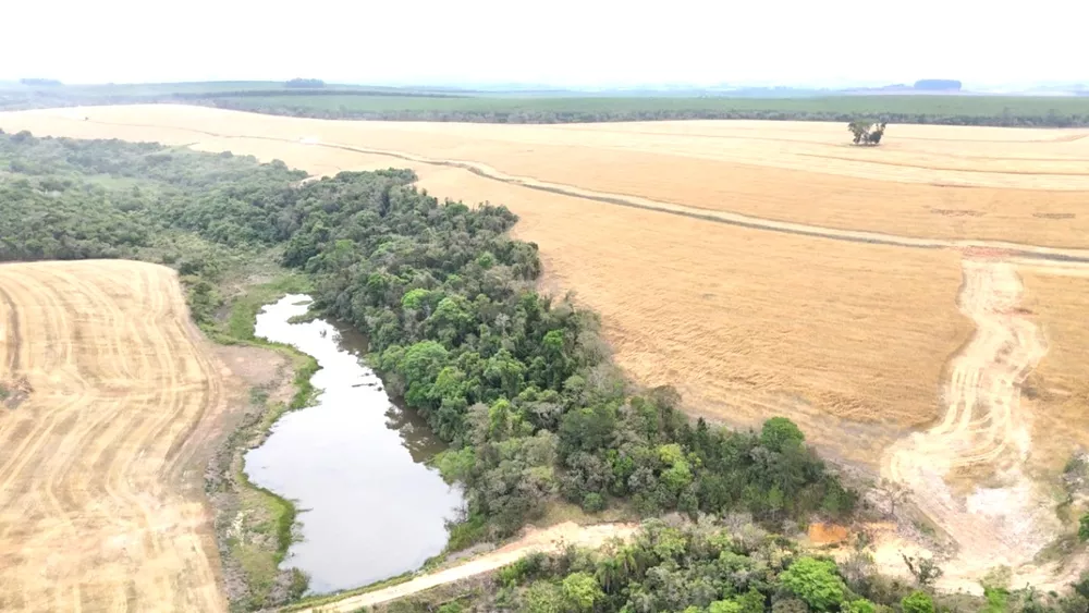 Fazenda, 290 m² - Foto 1