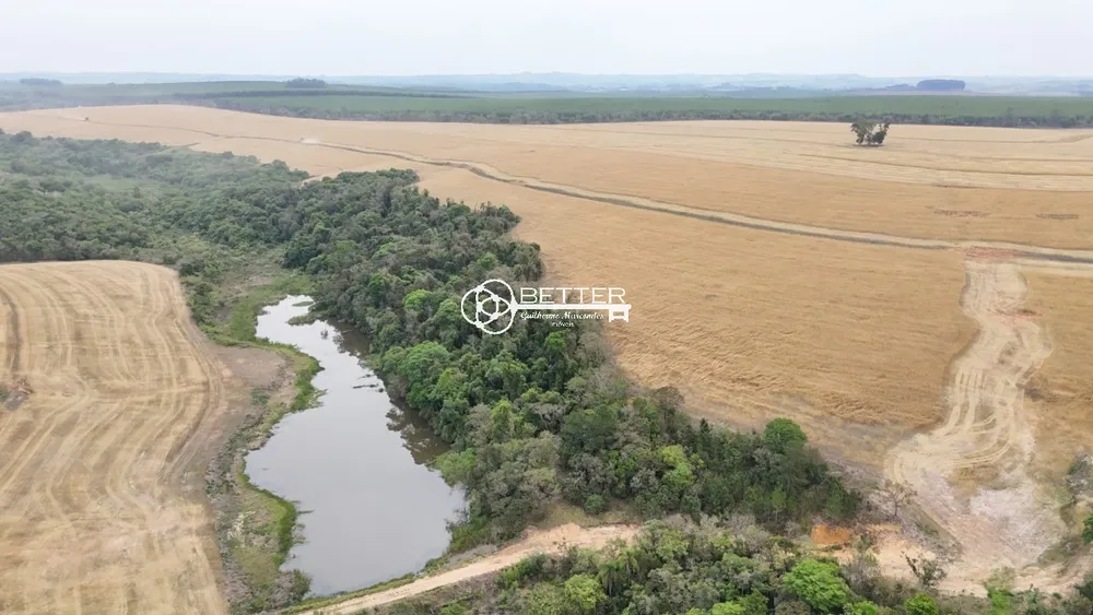 Fazenda, 290 m² - Foto 6