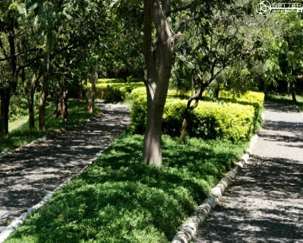 Casa, 4 quartos - Foto 4