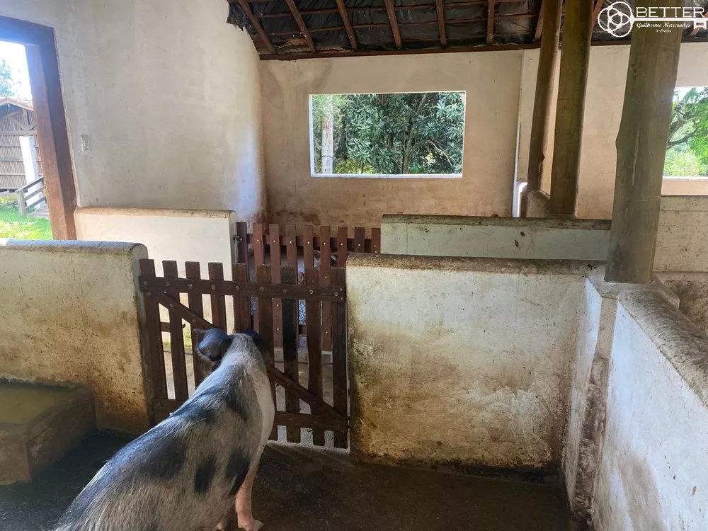 Fazenda, 20 m² - Foto 4