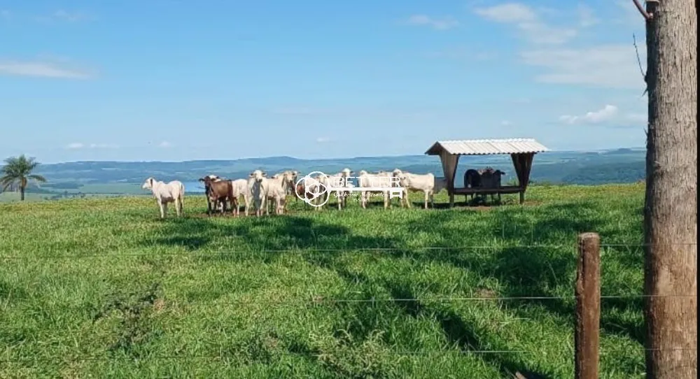 Fazenda, 249 m² - Foto 4