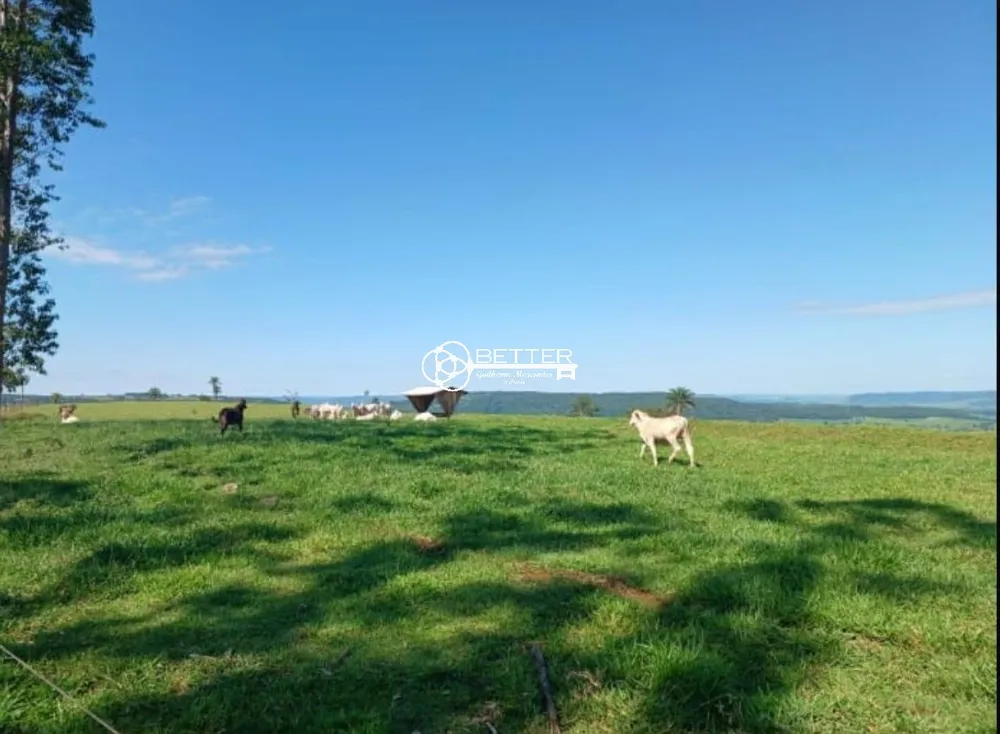 Fazenda, 249 m² - Foto 3