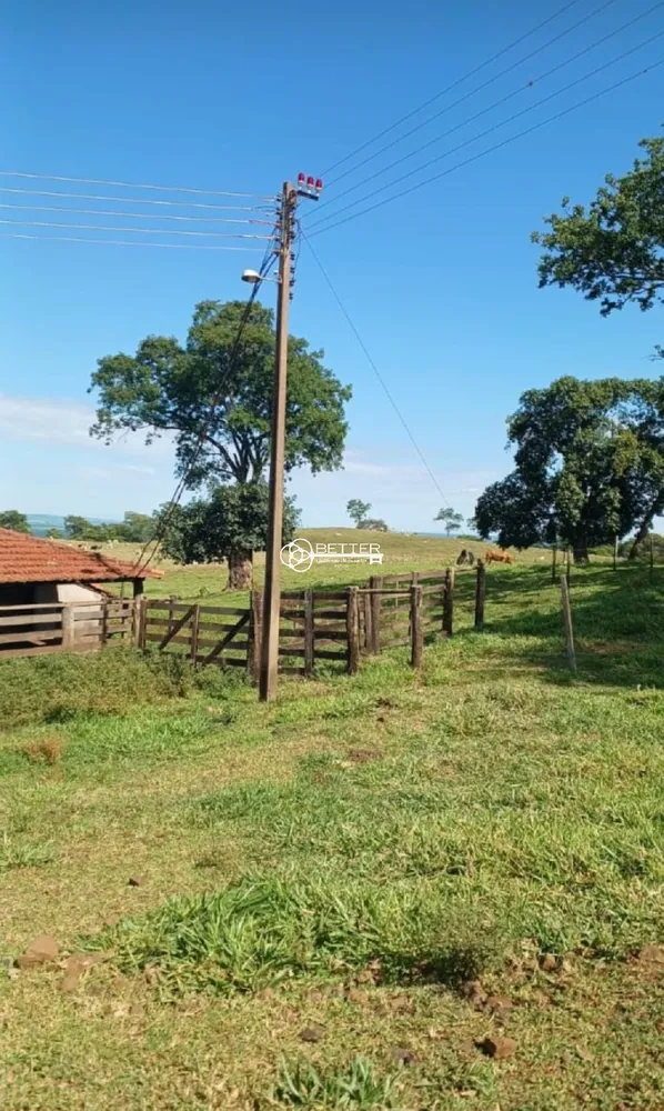 Fazenda, 249 m² - Foto 6