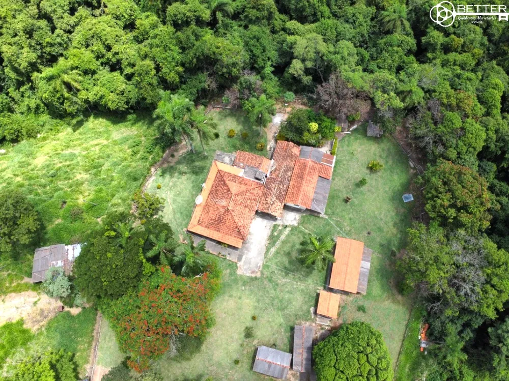 Terreno, 2 hectares - Foto 1