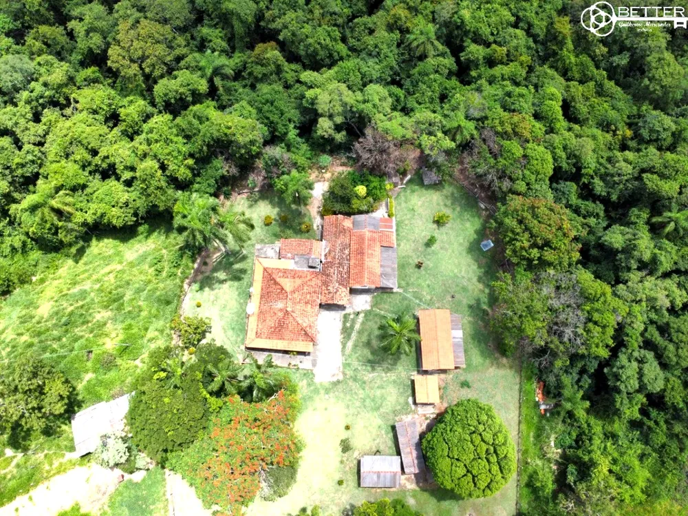 Terreno, 2 hectares - Foto 12