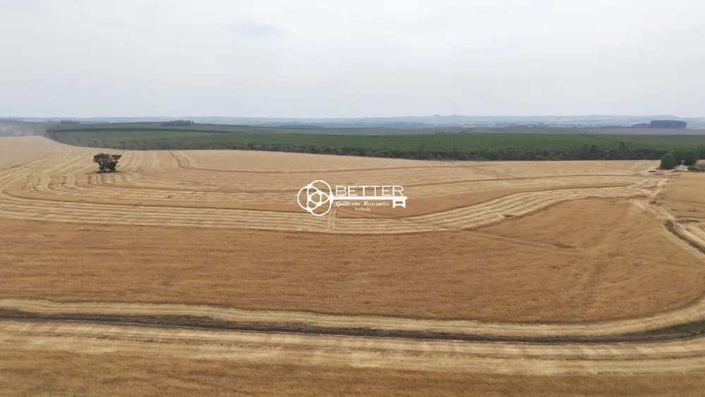 Fazenda, 141 m² - Foto 9