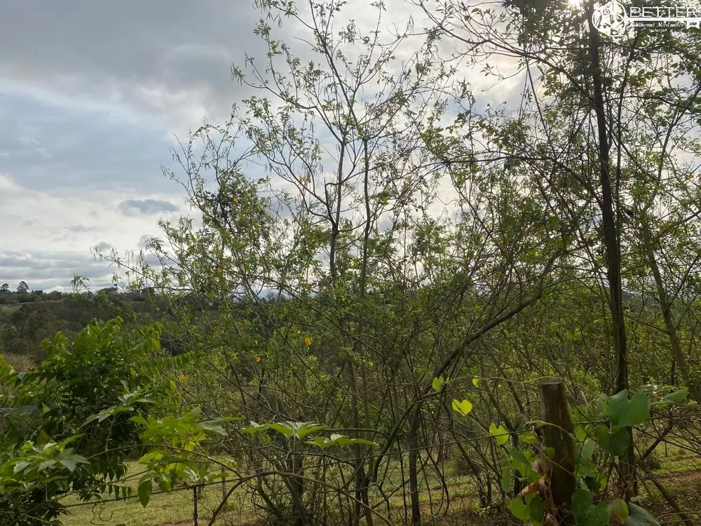 Terreno, 5 hectares - Foto 3