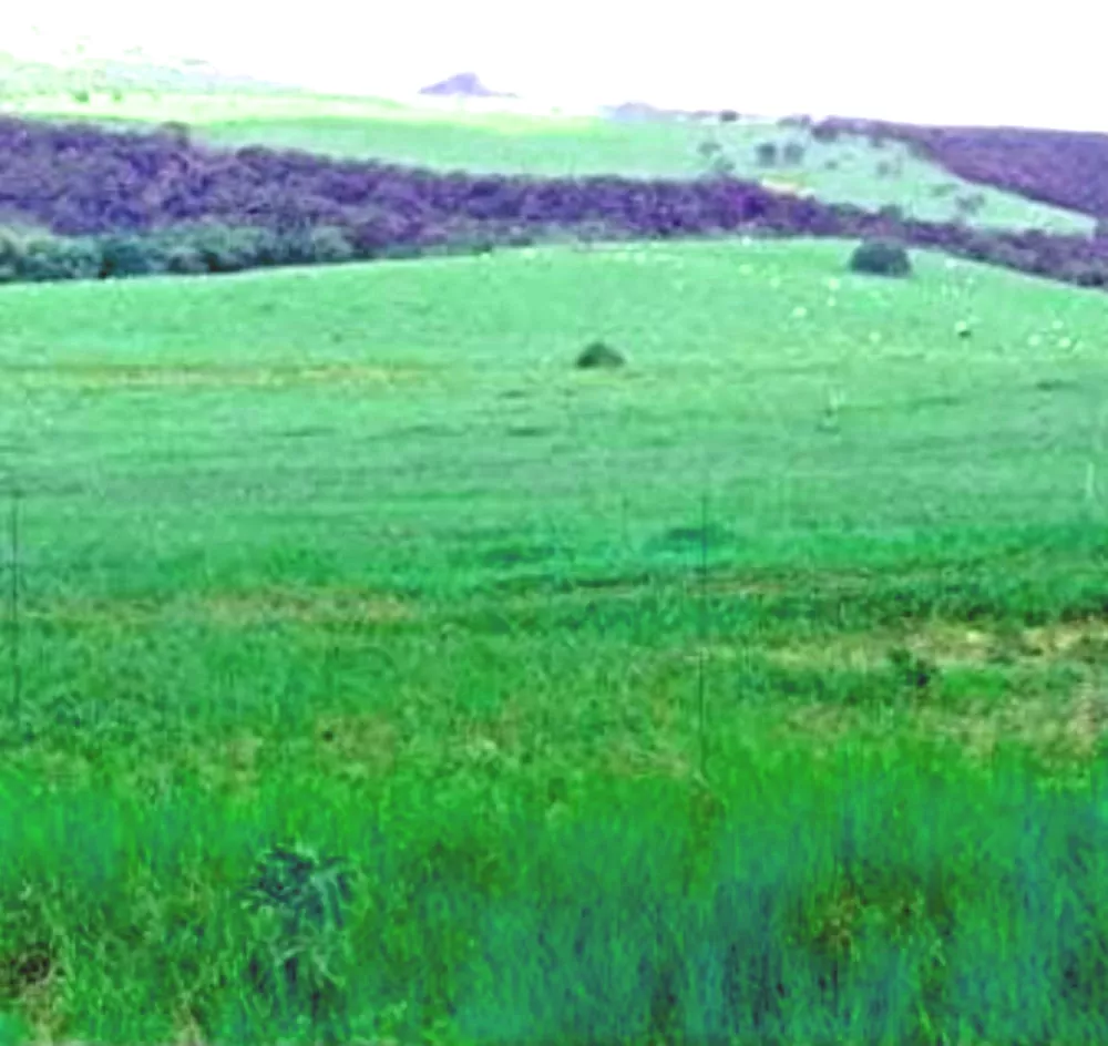 Fazenda-Sítio-Chácara, 59 m² - Foto 1