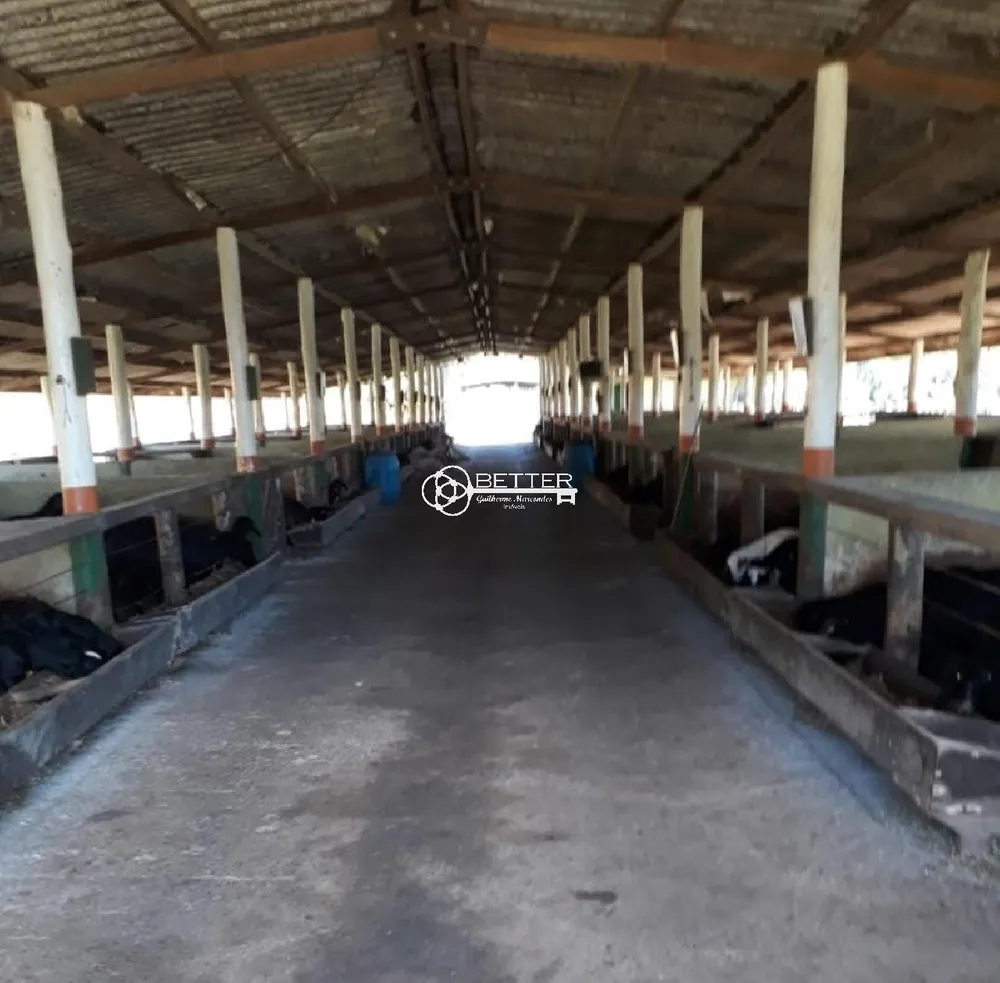 Fazenda, 124 m² - Foto 13