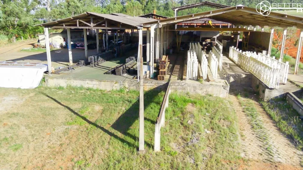 Terreno, 3 hectares - Foto 3