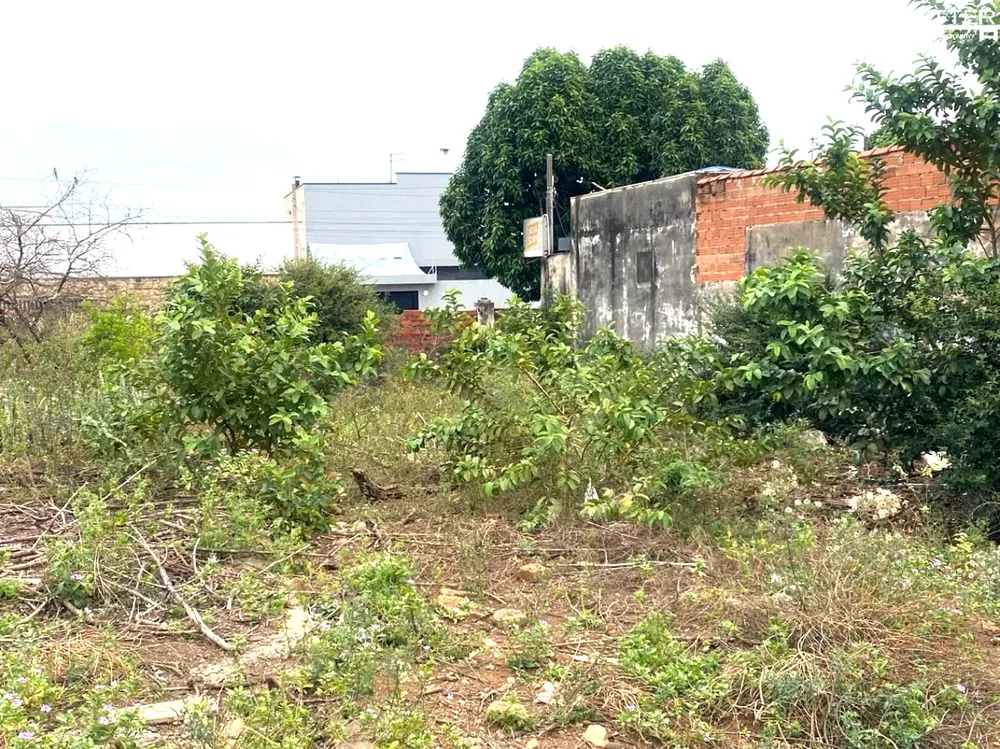 Terreno, 1069 m² - Foto 8
