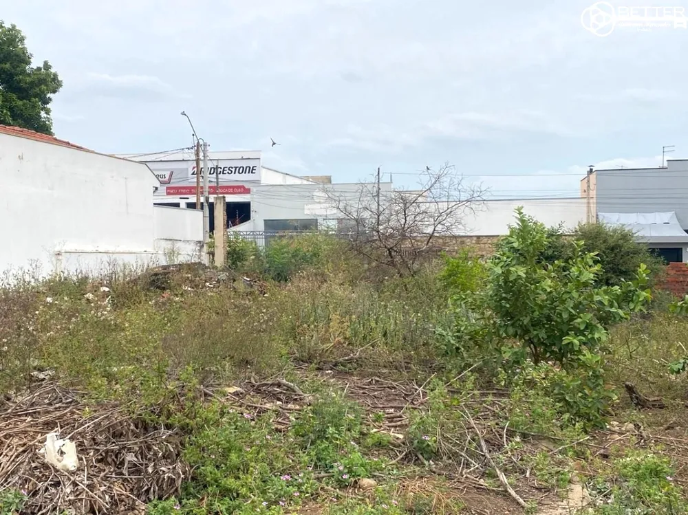 Terreno, 1069 m² - Foto 6