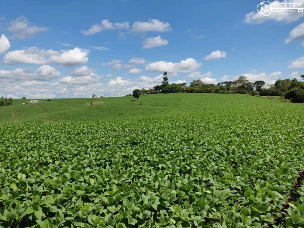 Fazenda-Sítio-Chácara, 136 m² - Foto 3