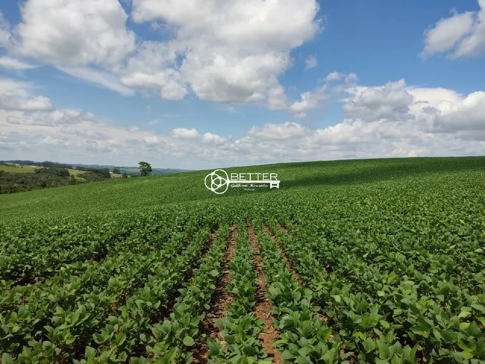 Fazenda, 136 m² - Foto 15